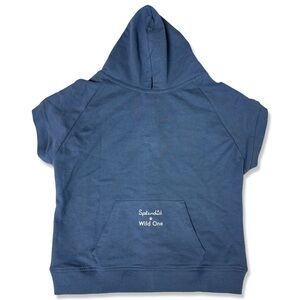 SPLENDID X WILD ONE Blue Dog Sweater